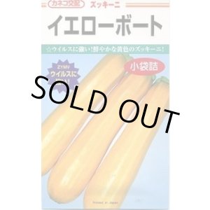 画像: 送料無料　[ズッキーニ]　イエローボート　10粒　カネコ種苗（株）