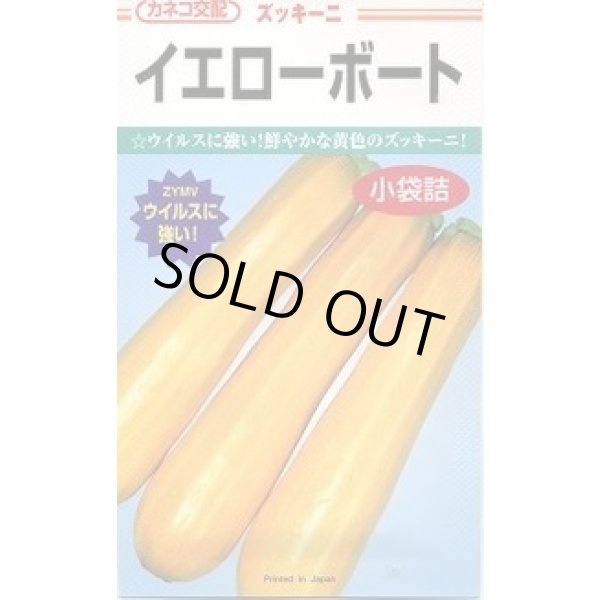 画像1: 送料無料　[ズッキーニ]　イエローボート　100粒　カネコ種苗（株） (1)