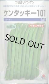 画像: 送料無料 [いんげん] ケンタッキー101 1dl タキイ種苗