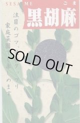 画像: 送料無料　[胡麻]　黒胡麻　5ml(およそ1500粒)