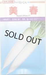 画像: 送料無料　[大根]　美春　2dl　カネコ種苗（株）