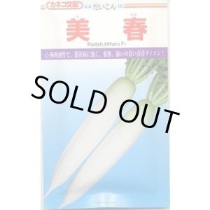 画像: 送料無料　[大根]　美春　2dl　カネコ種苗（株）