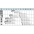 画像4: [白菜]　オレンジクイン　ペレット　１００粒　　タキイ種苗（株）　 (4)