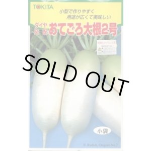 画像: 送料無料　[大根]　おてごろ大根2号　2ml　トキタ種苗(株)