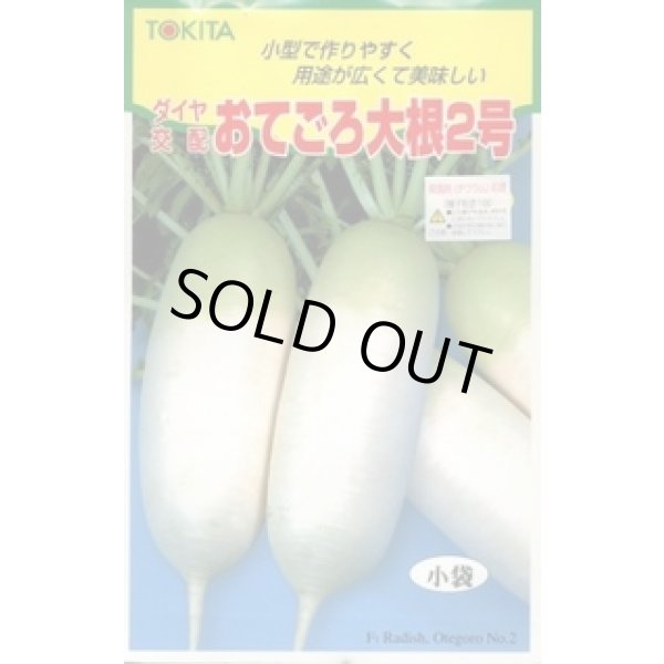 画像1: 送料無料　[大根]　おてごろ大根2号　20ml　トキタ種苗(株) (1)