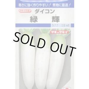 画像: 送料無料　[大根]　緑輝　16ml　タキイ種苗(株)　DF