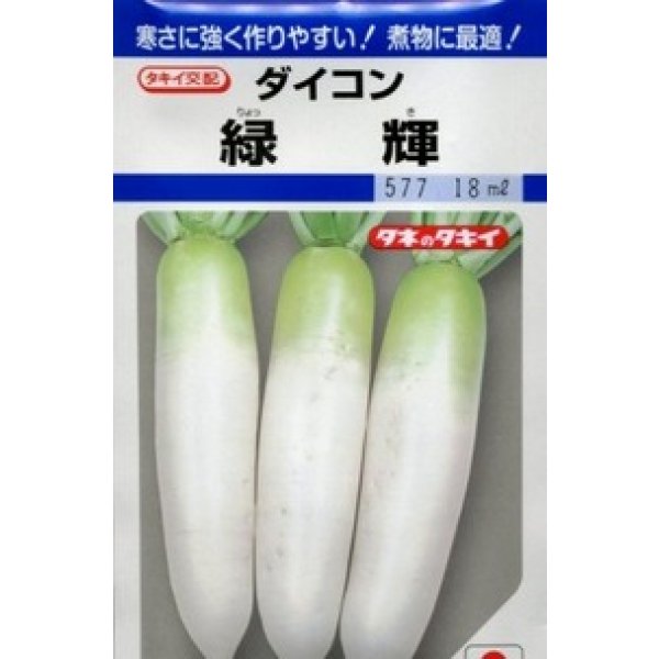 画像1: [大根] 緑輝 16ml タキイ種苗(株) DF (1)