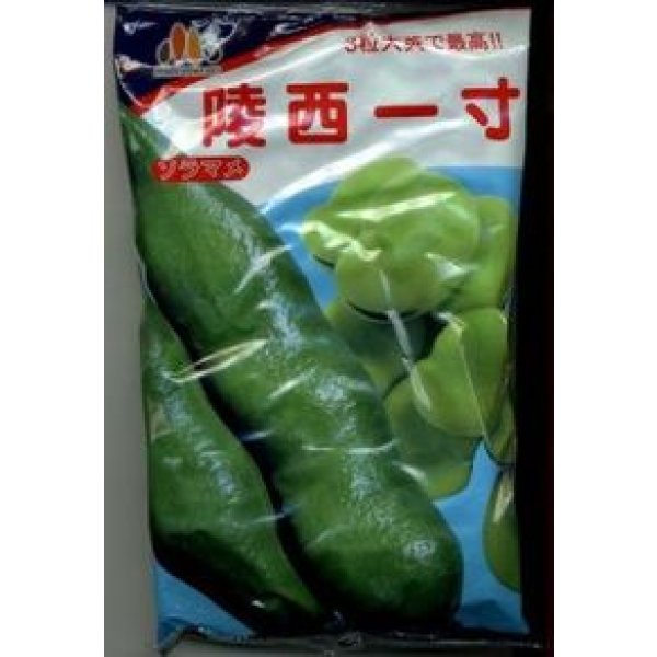 そら豆 楽天市場】そら豆の種 陵西一寸 みかど協和の一寸そら豆品種です