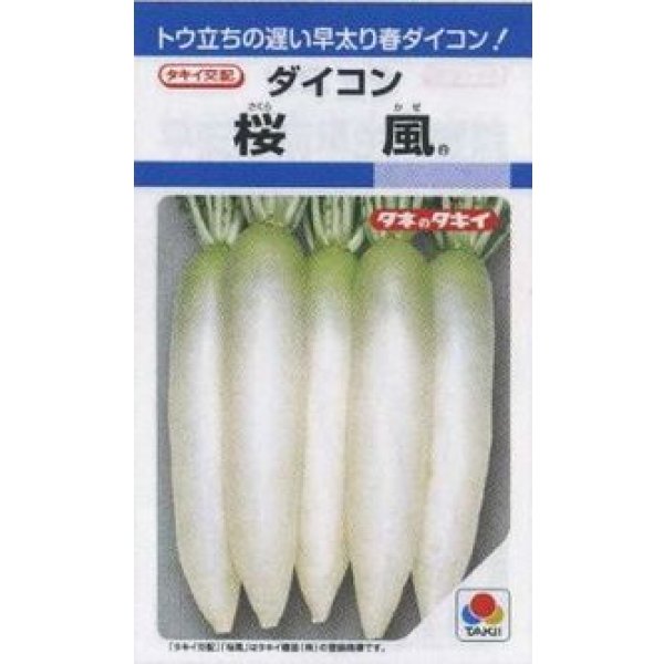画像1: 送料無料　[大根]　桜風　3.5ml　タキイ種苗(株)　DF (1)
