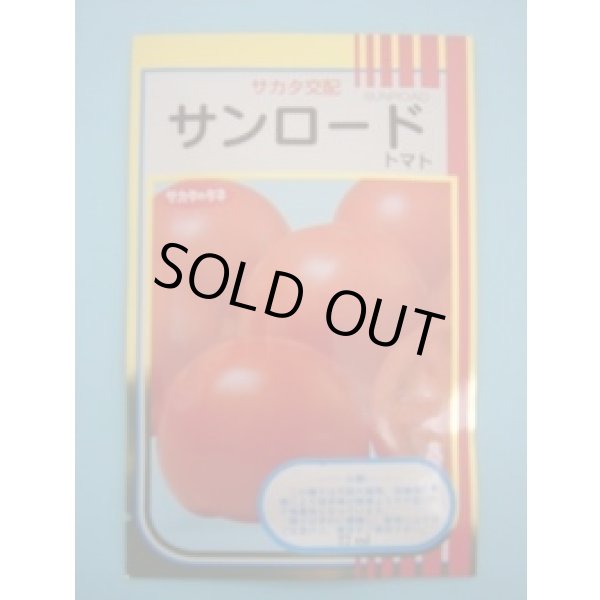画像1: 送料無料 [トマト/大玉トマト] サンロード 20ml (1)