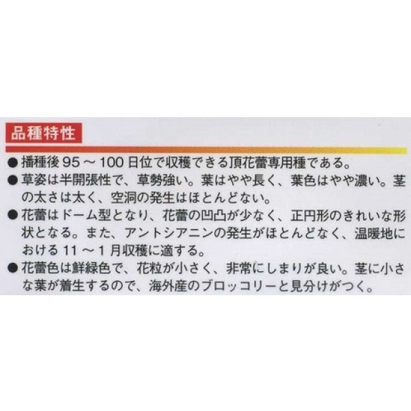 画像2: [ブロッコリー] 幸よし 20ml 貴種(コートしてません) ヴィルモランみかど（株） (2)