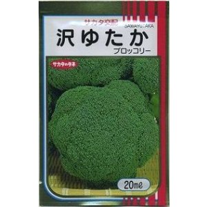 画像: [ブロッコリー] 沢ゆたか 20ml (株)サカタのタネ