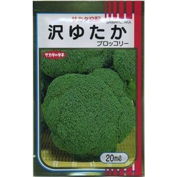 画像1: [ブロッコリー] 沢ゆたか 20ml (株)サカタのタネ (1)
