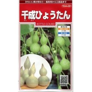 画像: [その他]　千成ひょうたん　約40粒  （株）サカタのタネ　実咲200