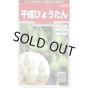 画像: 送料無料　千成ひょうたん　約40粒　(株)サカタのタネ　実咲250（002862）