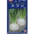 画像1: 送料無料　[かぶ]　スワン　20ml　タキイ種苗(株) (1)