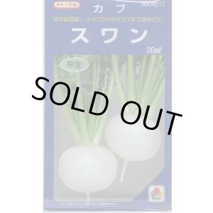 画像: 送料無料　[かぶ]　スワン　20ml　タキイ種苗(株)