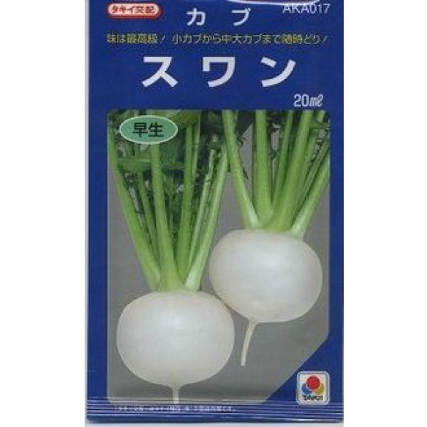 画像1: 送料無料　[かぶ]　スワン　20ml　タキイ種苗(株) (1)