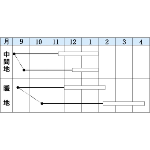 画像2: 送料無料　冬華　5ml　タキイ種苗(株)　GF (2)