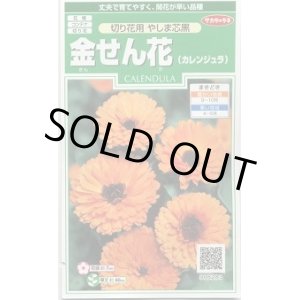 画像: 花の種　金せん花　(カレンジュラ)　改良早生中安　約50粒　サカタのタネ（株）実咲250