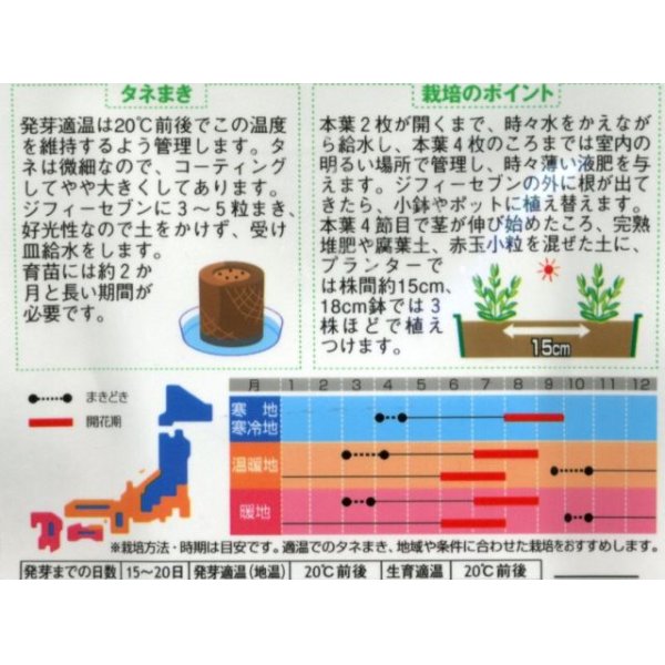 画像2: 花の種　トルコギキョウバイカラー ミックス　約45粒　サカタのタネ（株）実咲250 (2)