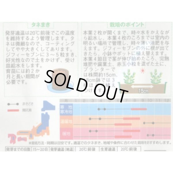 画像2: 送料無料　花の種　トルコギキョウ バイカラーミックス　約45粒　　(株)サカタのタネ　実咲250（026260） (2)