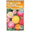 画像1: 花の種 　ヘリクリサム　帝王貝細工　モンストローサ　約215粒　サカタのタネ（株）実咲200 (1)