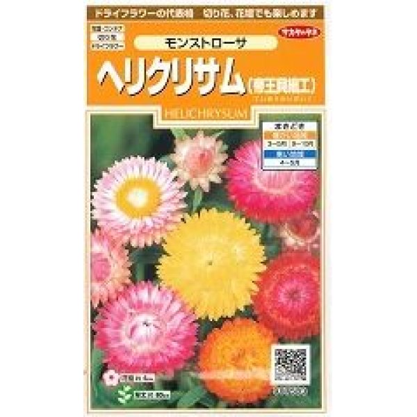 画像1: 花の種 　ヘリクリサム　帝王貝細工　モンストローサ　約215粒　サカタのタネ（株）実咲200 (1)