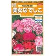 画像1: 花の種　美女なでしこ　切り花用混合 　約175粒　サカタのタネ（株）実咲200 (1)