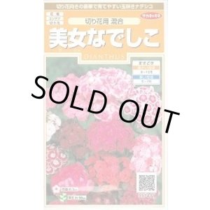 画像: 送料無料　花の種　美女なでしこ　切り花用混合　約175粒　(株)サカタのタネ　実咲200（026342）