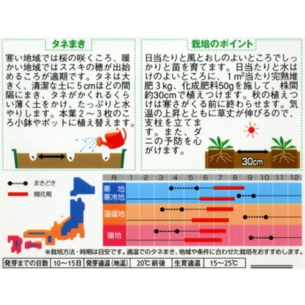 画像2: 花の種 西洋松虫草 切り花用混合 約43粒 (株)サカタのタネ 実咲250(026251) (2)