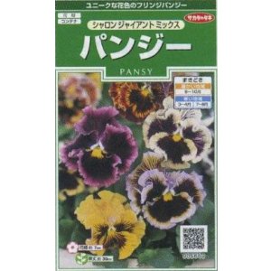 画像: 送料無料　花の種　パンジー　シャロンジャイアントミックス　約34粒　(株)サカタのタネ　実咲250（026267）