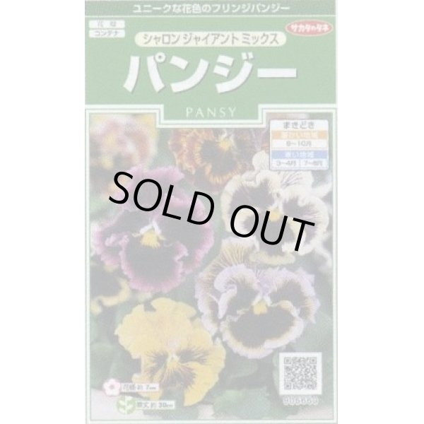 画像1: 花の種 　パンジー　シャロンジャイアントミックス　約34粒　サカタのタネ（株）実咲250 (1)