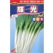 画像1: 送料無料　[ねぎ]　輝光　20ml　渡辺農事（株） (1)