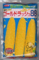 画像: 送料無料[とうもろこし]　ゴールドラッシュ88　2000粒　(株)サカタのタネ