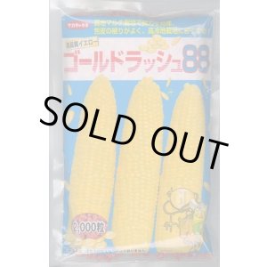 画像: 送料無料[とうもろこし]　ゴールドラッシュ88　2000粒　(株)サカタのタネ