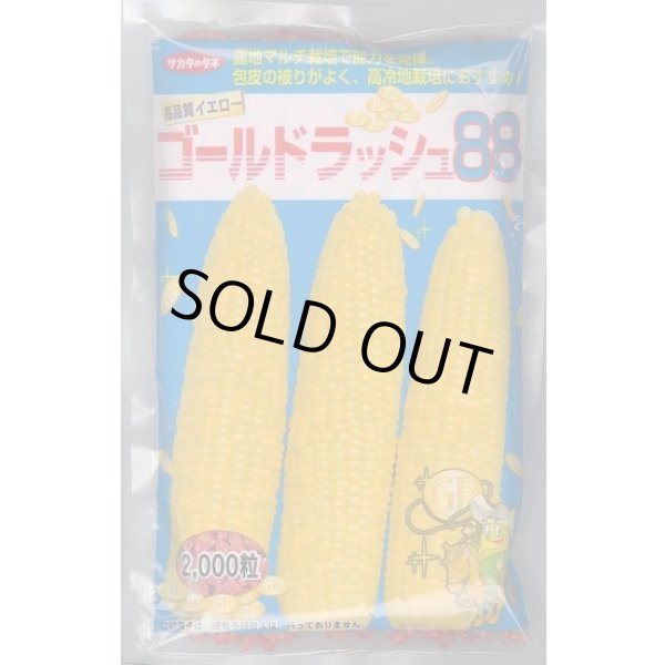 画像1: 送料無料[とうもろこし]　ゴールドラッシュ88　2000粒　(株)サカタのタネ (1)