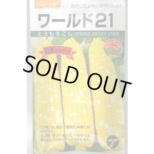 画像: 送料無料　[とうもろこし]　ワールド21　EX　200粒　(株)タカヤマシード
