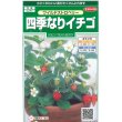 画像1: 花の種　ワイルドストロベリー　（四季なりイチゴ）　約143粒　サカタのタネ（株）実咲250 (1)