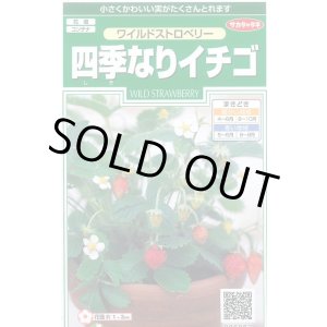 画像: 送料無料　花の種　ワイルドストロベリー　(四季なりイチゴ)　約143粒　　(株)サカタのタネ　実咲250（026217）
