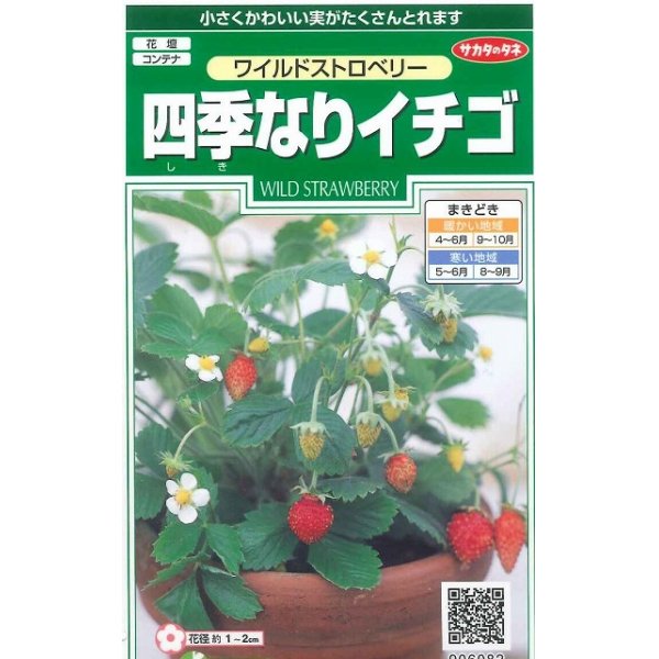 画像1: 花の種　ワイルドストロベリー　（四季なりイチゴ）　約143粒　サカタのタネ（株）実咲250 (1)