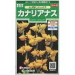 画像1: 花の種　カナリアナス　（とげなしつのなす）　約39粒　サカタのタネ（株）実咲250 (1)