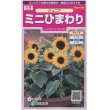 画像1: 花の種　ミニひまわり　ジュニア　15粒　サカタのタネ（株）実咲350 (1)