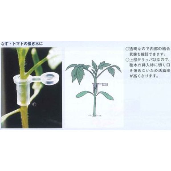 画像6: 接木・生産資材　スーパーウィズ　接木用具　(100個入り) (6)
