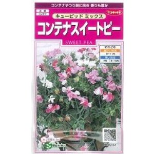画像: 送料無料　花の種　コンテナスイートピー　キューピッドミックス　約15粒　(株)サカタのタネ　実咲350（026115）
