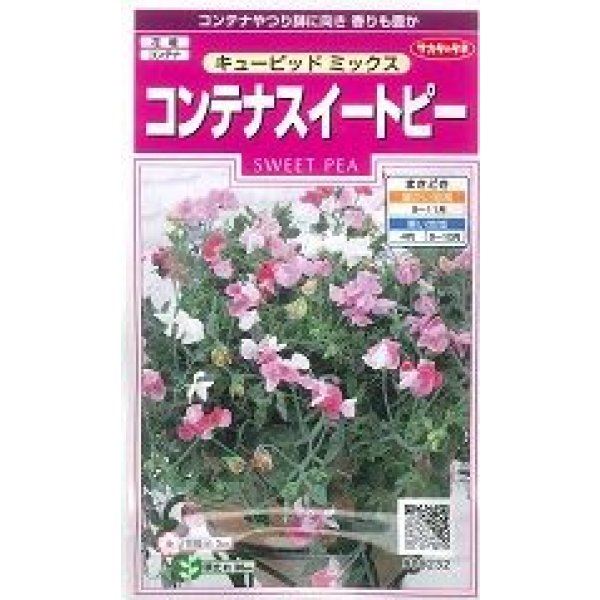 画像1: 送料無料　花の種　コンテナスイートピー　キューピッドミックス　約15粒　(株)サカタのタネ　実咲350（026115） (1)