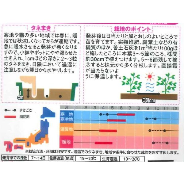画像2: 送料無料　花の種　コンテナスイートピー　キューピッドミックス　約15粒　(株)サカタのタネ　実咲350（026115） (2)