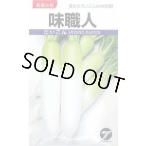 画像: 送料無料　[大根]　味職人　3ml　(株)タカヤマシード