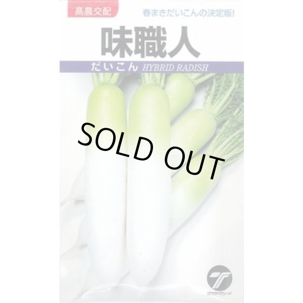 画像1: 送料無料　[大根]　味職人　3ml　(株)タカヤマシード (1)