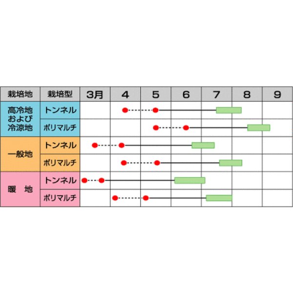 画像4: 送料無料 [とうもろこし] ゴールドラッシュ86 200粒 (株)サカタのタネ (4)